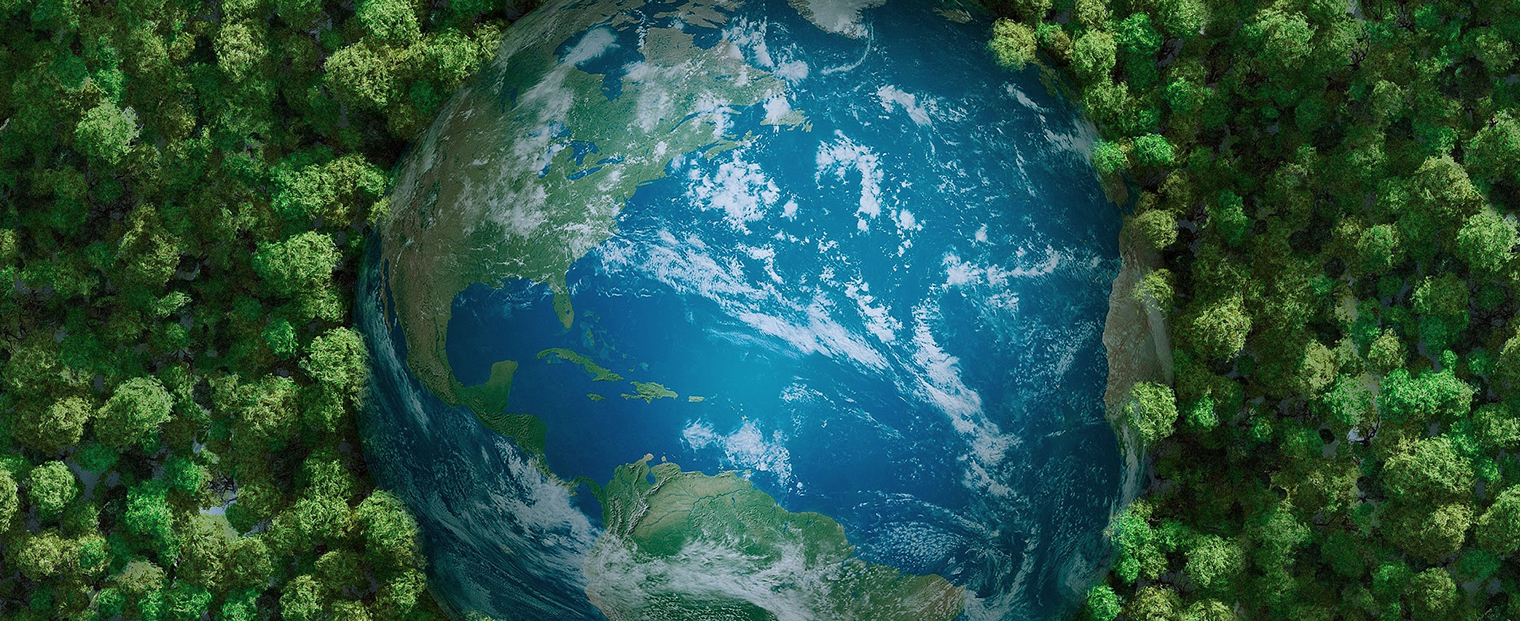 Yancheng Mingyang Quarzprodukte Co., Ltd.